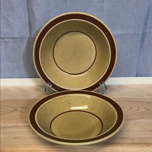 Premiere Colorkraft Good Earth Stoneware bowl P5004 set of 2